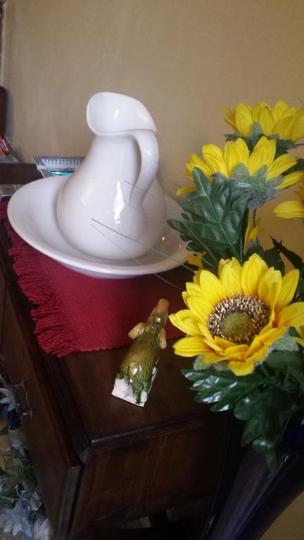 B&B Il Patio Bergamo Zewnętrze zdjęcie