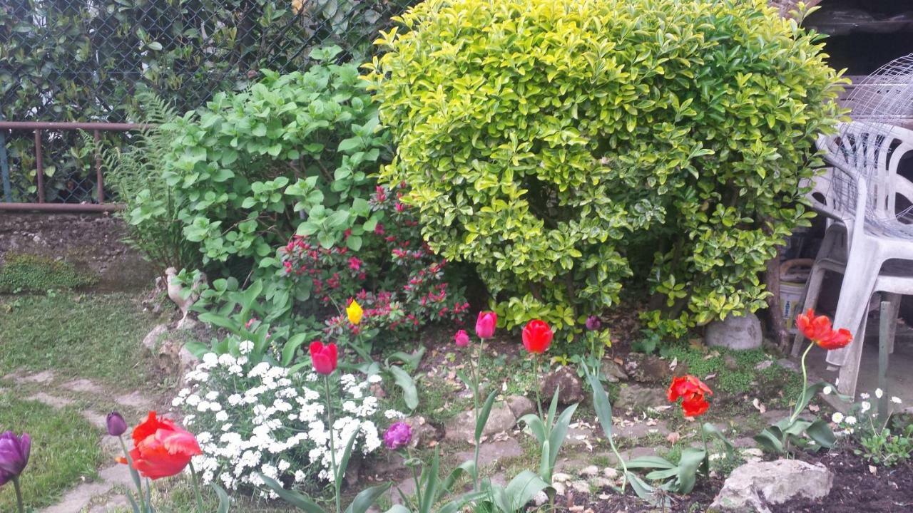 B&B Il Patio Bergamo Zewnętrze zdjęcie